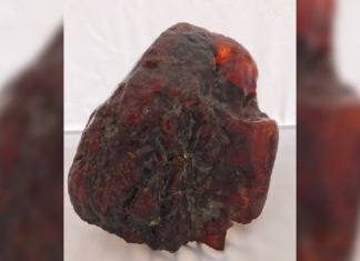 অবহেলায় পড়ে থাকা ‘ডোরস্টপ’ পাথরের দাম ৮ কোটি টাকা! ‘ডোরস্টপ’ পাথরের দাম